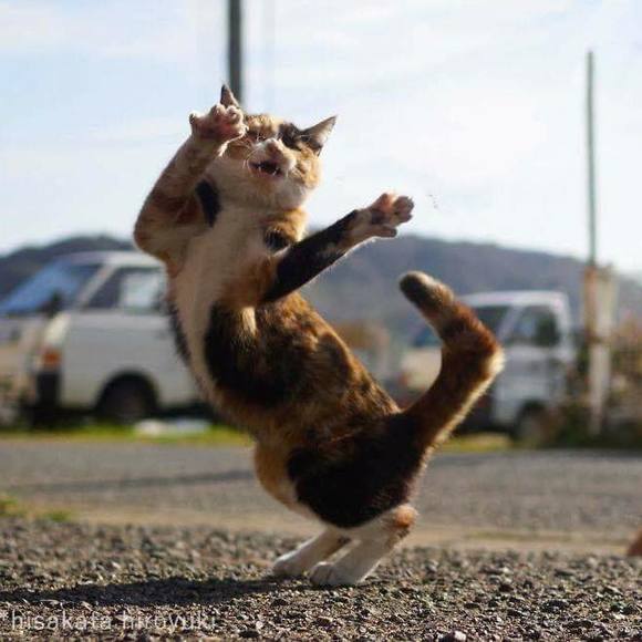 Meet your Posher, Sarah - Picture 1 of 1